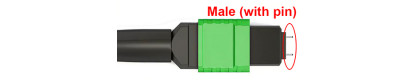 MPO Male