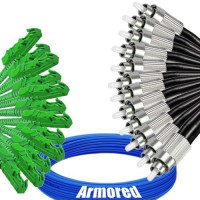 Indoor Armored 12 Fiber E2000/APC to FC/UPC Patch Cord 9/125 SM