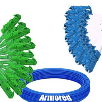 Indoor Armored 12 Fiber E2000/APC to LC/UPC Patch Cord 9/125 SM