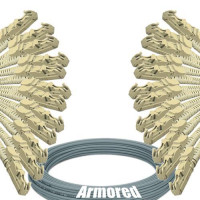 Indoor Armored 12 Fiber E2000/UPC to E2000/UPC Patch Cord 50/125 MM