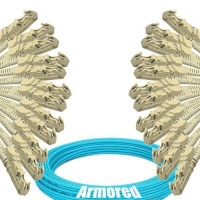 Indoor Armored 12 Fiber E2000/UPC-E2000/UPC Patch Cord OM3 50/125 MM