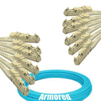 Indoor Armored 6 Fiber E2000/UPC to E2000/UPC Patch Cord OM4 50/125 MM