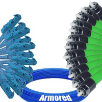 Indoor Armored 12 Fiber E2000/UPC to FC/APC Patch Cord 9/125 SM