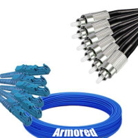 Indoor Armored 6 Fiber E2000/UPC to FC/UPC Patch Cord 9/125 Singlemode