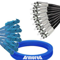Indoor Armored 8 Fiber E2000/UPC to FC/UPC Patch Cord 9/125 Singlemode