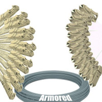 Indoor Armored 12 Fiber E2000/UPC to LC/UPC Patch Cord 62.5/125 MM