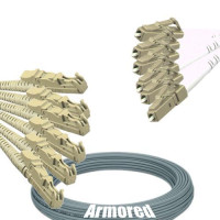 Indoor Armored 6 Fiber E2000/UPC to LC/UPC Patch Cord 62.5/125 MM