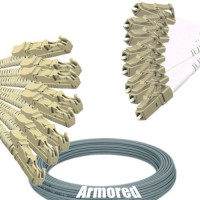 Indoor Armored 8 Fiber E2000/UPC to LC/UPC Patch Cord 62.5/125 MM