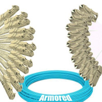 Indoor Armored 12 Fiber E2000/UPC to LC/UPC Patch Cord OM3 50/125 MM