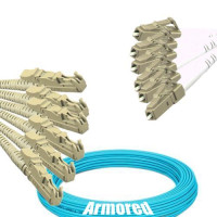 Indoor Armored 6 Fiber E2000/UPC to LC/UPC Patch Cord OM3 50/125 MM