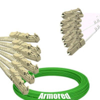 Indoor Armored 6 Fiber E2000/UPC to LC/UPC Patch Cord OM5 50/125 MM