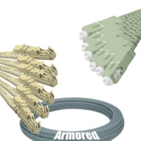 Indoor Armored 6 Fiber E2000/UPC to SC/UPC Patch Cord 62.5/125 MM