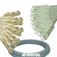 Indoor Armored 8 Fiber E2000/UPC to SC/UPC Patch Cord 62.5/125 MM