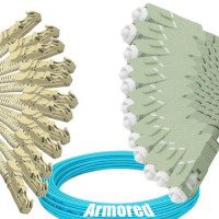 Indoor Armored 12 Fiber E2000/UPC to SC/UPC Patch Cord OM3 50/125 MM