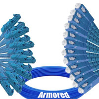 Indoor Armored 12 Fiber E2000/UPC to SC/UPC Patch Cord 9/125 SM