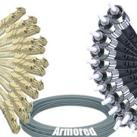 Indoor Armored 12 Fiber E2000/UPC to ST/UPC Patch Cord 62.5/125 MM