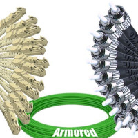 Indoor Armored 12 Fiber E2000/UPC to ST/UPC Patch Cord OM5 50/125 MM