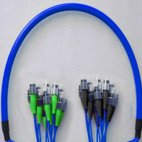 Indoor Armored 12 Fiber FC/APC to FC/UPC Patch Cord 9/125 Singlemode