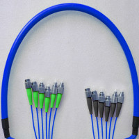 Indoor Armored 6 Fiber FC/APC to FC/UPC Patch Cord 9/125 Singlemode