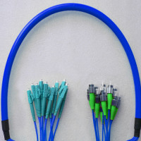 Indoor Armored 12 Fiber FC/APC to LC/UPC Patch Cord 9/125 Singlemode