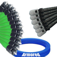 Indoor Armored 12 Fiber FC/APC to MTRJ/UPC Patch Cord 9/125 Singlemode