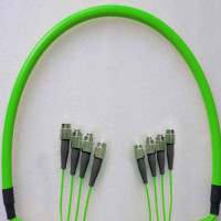 Indoor Armored 4 Fiber FC/UPC to FC/UPC Patch Cord OM5 50/125 MM