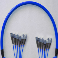 Indoor Armored 6 Fiber FC/UPC to FC/UPC Patch Cord 9/125 Singlemode