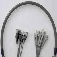 Indoor Armored 8 Fiber FC/UPC to LC/UPC Patch Cord 62.5/125 Multimode