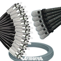 Indoor Armored 12 Fiber FC/UPC to MTRJ/UPC Patch Cord 62.5/125 MM