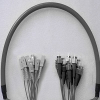 Indoor Armored 12 Fiber FC/UPC to SC/UPC Patch Cord 62.5/125 Multimode