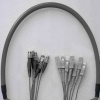 Indoor Armored 8 Fiber FC/UPC to SC/UPC Patch Cord 62.5/125 Multimode