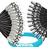 Indoor Armored 12 Fiber FC/UPC to SMA905/UPC Patch Cord OM3 50/125 MM