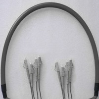 Indoor Armored 4 Fiber LC/UPC to LC/UPC Patch Cord 50/125 Multimode