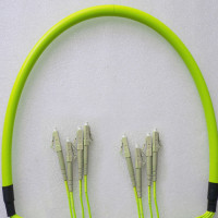 Indoor Armored 4 Fiber LC/UPC to LC/UPC Patch Cord OM5 50/125 MM