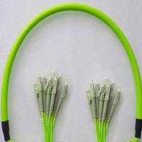 Indoor Armored 8 Fiber LC/UPC to LC/UPC Patch Cord OM5 50/125 MM