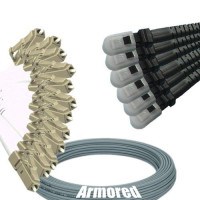 Indoor Armored 12 Fiber LC/UPC to MTRJ/UPC Patch Cord 62.5/125 MM