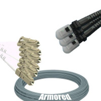Indoor Armored 6 Fiber LC/UPC to MTRJ/UPC Patch Cord 50/125 Multimode