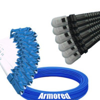 Indoor Armored 12 Fiber LC/UPC to MTRJ/UPC Patch Cord 9/125 Singlemode