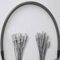 Indoor Armored 12 Fiber LC/UPC to SC/UPC Patch Cord 62.5/125 Multimode
