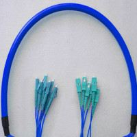 Indoor Armored 6 Fiber LC/UPC to SC/UPC Patch Cord 9/125 Singlemode