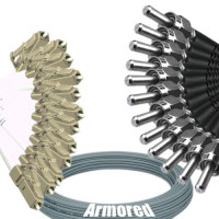 Indoor Armored 12 Fiber LC/UPC to SMA905/UPC Patch Cord 62.5/125 MM