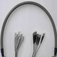 Indoor Armored 6 Fiber LC/UPC to ST/UPC Patch Cord 62.5/125 Multimode