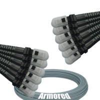 Indoor Armored 12 Fiber MTRJ/UPC to MTRJ/UPC Patch Cord 62.5/125 MM