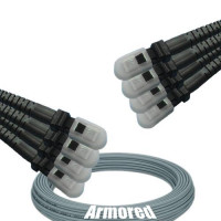 Indoor Armored 8 Fiber MTRJ/UPC to MTRJ/UPC Patch Cord 62.5/125 MM