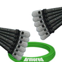 Indoor Armored 12 Fiber MTRJ/UPC to MTRJ/UPC Patch Cord OM5 50/125 MM