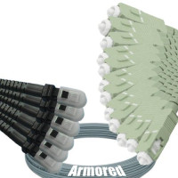 Indoor Armored 12 Fiber MTRJ/UPC to SC/UPC Patch Cord 62.5/125 MM