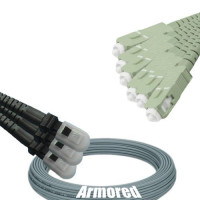 Indoor Armored 6 Fiber MTRJ/UPC to SC/UPC Patch Cord 62.5/125 MM
