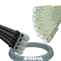 Indoor Armored 8 Fiber MTRJ/UPC to SC/UPC Patch Cord 62.5/125 MM