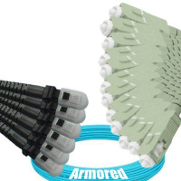 Indoor Armored 12 Fiber MTRJ/UPC to SC/UPC Patch Cord OM3 50/125 MM