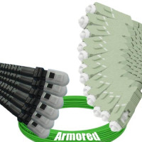 Indoor Armored 12 Fiber MTRJ/UPC to SC/UPC Patch Cord OM5 50/125 MM